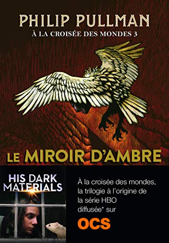Télécharger À la croisée des mondes (Tome 3) - Le miroir d'ambre (Folio Junior) Livre eBook France
