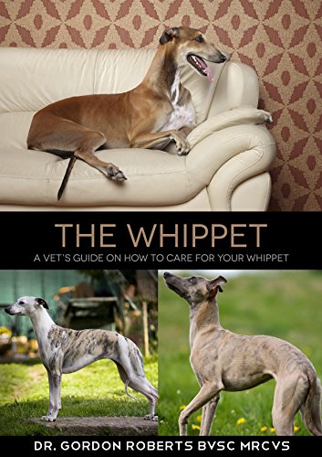 the whippet store