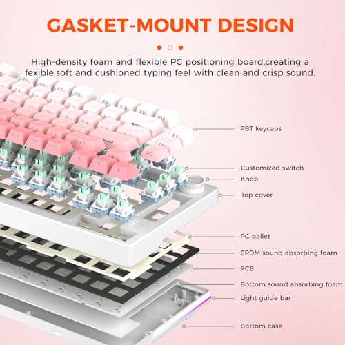 Mechanical Keyboard Wireless Hot-Swappable