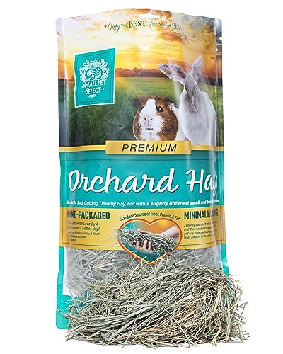 Small Pet Select Orchard Grass Hay Pet Food for Rabbits, Guinea Pigs, Chinchillas and Other Small Animals, Premium Natural Hay Grown in The US, 12 OZ