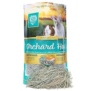 Small Pet Select Orchard Grass Hay Pet Food for Rabbits, Guinea Pigs, Chinchillas and Other Small Animals, Premium Natural Hay Grown in The US, 12 OZ