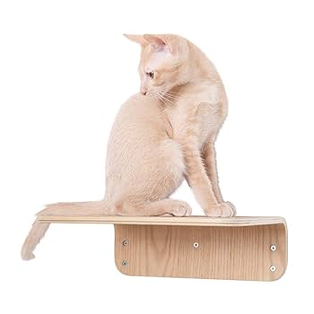 Amazon | MYZOO マイズー LACK キャットステップセット キャット