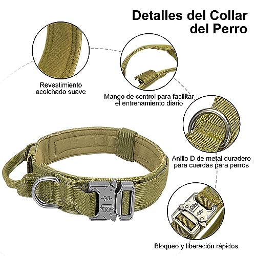 Collares Y Correas, Pet Products Imagen adicional