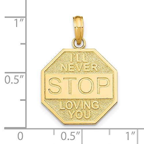 FJC Finejewelers 14k Yellow Gold I'll Never Stop Loving You On Octagon Plaque Charm2