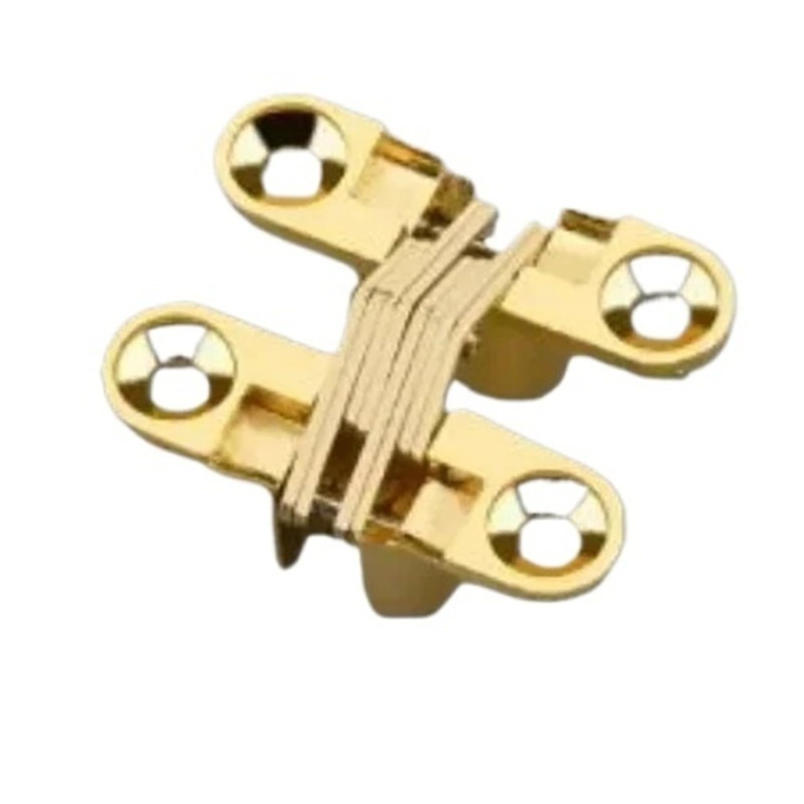 Foelanne Gold Zinc Alloy Hidden Gate Hinge