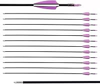 Vista 9 de LWANO Flechas de fibra de vidrio de 28" - Flechas de práctica de arquería con puntas rombas y eje duradero para niños, jóvenes, principiantes