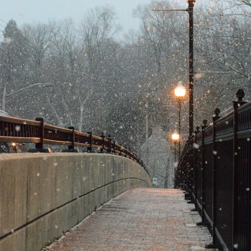 February Care: What Actually Sustains Us When Winter Is Heavy, Episode 37