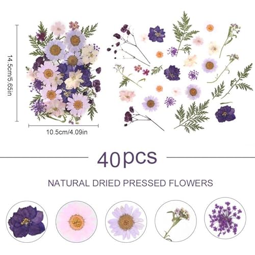 image for Eshow 40Pcs Natural Pressed Dried Flowers Resin, Dry Flowers for Resin