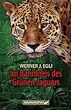 jaguar grunt  Im Bannkreis des Grünen Jaguars