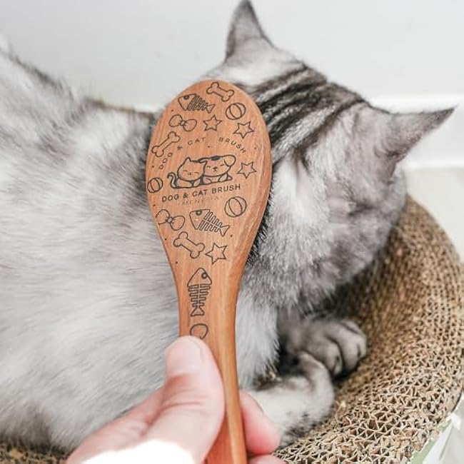 Pet Soft Brush with Wood Handle and Boar Bristle Hair - Soft Cat and Dog Grooming Brush for Short Hair Cats and Small Dogs - Gentle Massage and Dandruff Removal (Cat)-0XMU568U
