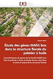  Étude des gènes MADS box dans la structure florale du palmier à huile