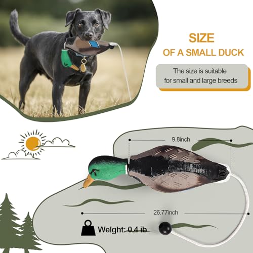 Dead Duck Dummy Bumper for Waterfowl Hunting Retriever Dog Training Soft Durable Floating Suitable for Puppies or Adult Hunting Dogs