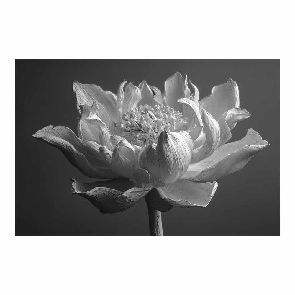 ZAMAEIU Landscape Wall Art withsered Lotuss Pose Modern Canvas Print On Artwork, Suitable for living room, bedroom, for Kids Room Decoretc.(black and white)-30x50cm Unframed