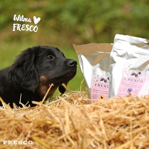 FRESCO Dog Complete Junior Trockenbarf Huhn 1kg | Barf Trockenfutter für Welpen & Junghunde mit Kürbis, Topinambur & Blütenpollen | aus frischem Fleisch, Obst und Gemüse | 100% natürliche Zutaten