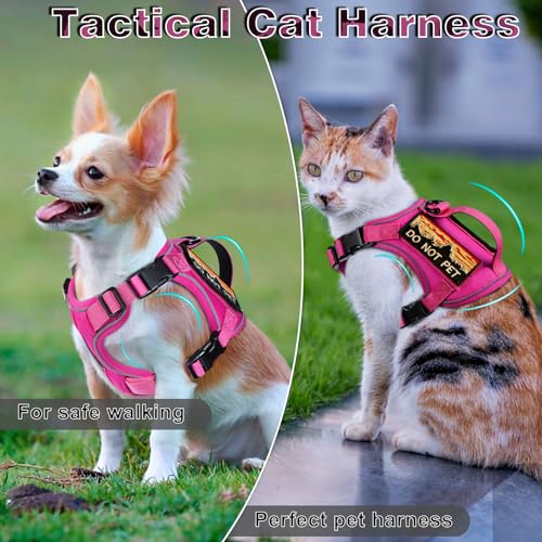 nanappice Tactical Cat Harness for Walking, Adjustable Escape Proof Pet Vest for Large Cat,Easy Control Breathable Cat Vest with Handle,Molle Patches (Pink, L)