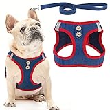 PUPTECK Dog Harness and Leash Set for Small Medium Dogs No Pull Step-in Soft Mesh Puppy Cat Vest Harnesses Reflective at Night, Denim NavyBlue XS