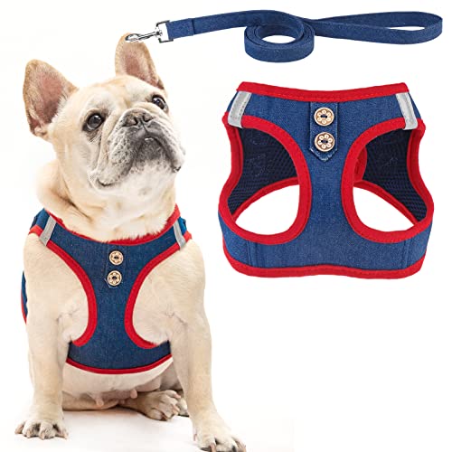 Pupteck Dog Harness And Leash Set For Small Medium Dogs No Pull Step-In Soft Mesh Puppy Cat Vest Harnesses Reflective At Night, Denim Blue M #TOP30