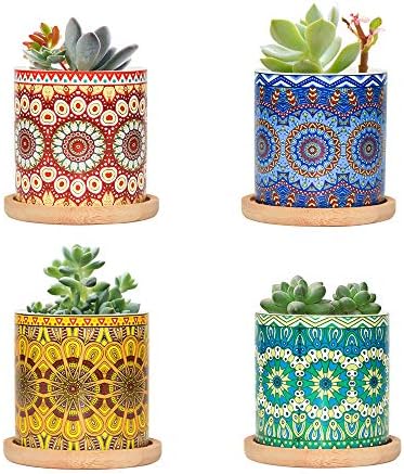 FairyLavie Succulent Pots, 3'' Small Flower Planters with Drainage and Trays, Great Item for Home Decor and Ideal Gift, Set of 4
