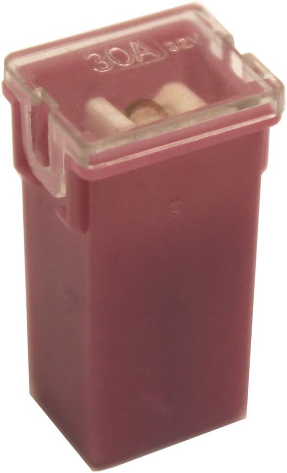 2 X 30 Amp Pink Pal Pacific Type J Case Cartridge Female Slow Blow Fuse 30A