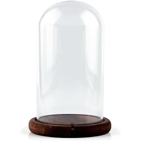 Amazon Co Jp Ourwarmガラスドーム ガラス花器 花瓶 フラワーベース ケース 小物入れ 小物収納 ショーケース ドーム型 ガラス 収納ディスプレイ ガラスケース ガラスドーム ホーム キッチン