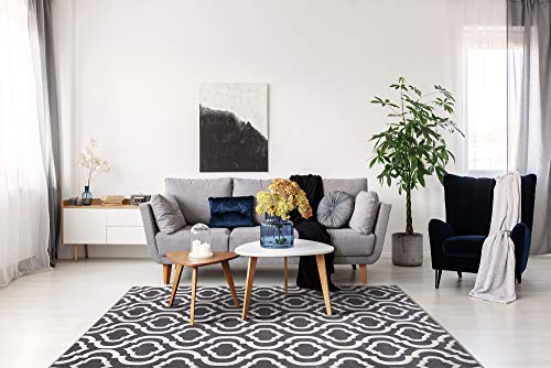 Ottomanson Moroccan Trellis Design 7X10 Area Rug, 79