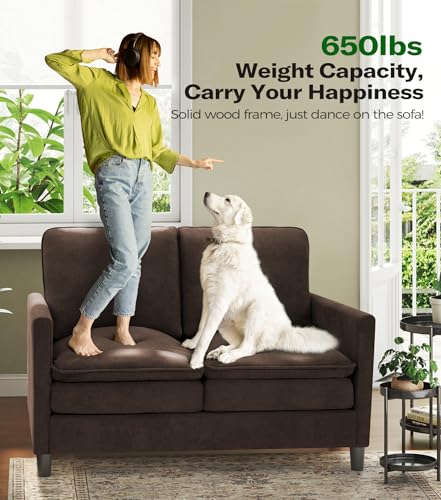 Image of Welzona 3-Layers Cloud Loveseat Sofa, 51 inch Small Couch, Teddy Small Sofa