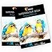 Produktbild 2 x 32 Blatt naturweiß A4 Format - 2 Aquarellblöcke für Aquarellmalerei - 2-er Set Malblöcke mit Zeichen- und Aquarellpapier 300g für Künstler und Hobbybastler