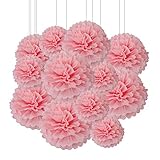 Aimto 12pcs Light Pink Paper Pom Poms Decorations for Party Ceiling Wall Hanging Tissue Flowers Decorations - 1 Color of 12 Inch, 10 Inch