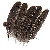 IDEALE GESCHENKIDEE: Unser Natur Bastelfedern Set eignet sich ideal als Geschenk für einen Modeliebhaber im Familien- oder Freundeskreis. Holen Sie Ihren Liebsten dieses Set als Geburtstagsgeschenk! Ideal auch zum Dekorieren von Kränzen, Blumenarrangements, etc.