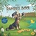 MEET RAMBEE BOO! (THE RAMBEE BOO SERIES)