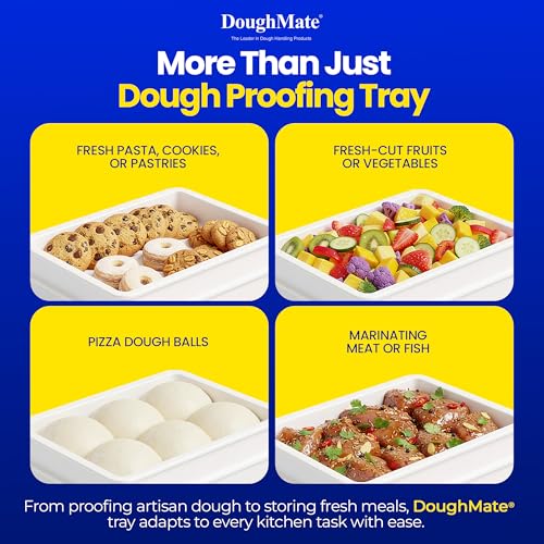 Image of DoughMate 1 Pizza Dough Proofing Tray with 1 Lid - Holds 6 Dough Balls - Easy to Clean, Durable - NSF Certified, Made in USA
