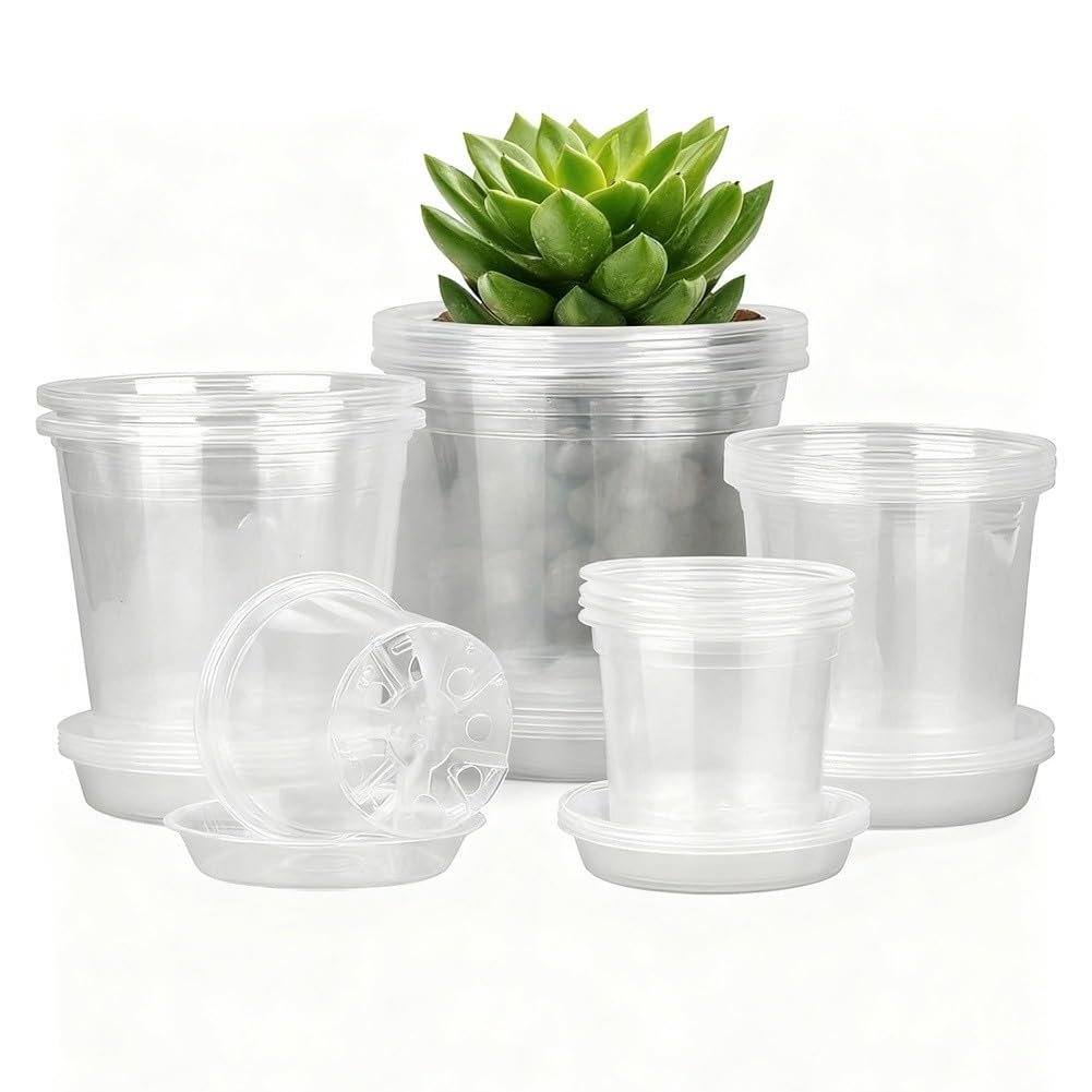 Pots de fleurs transparents avec soucoupes pour bouturage et jardinage intérieur | Lot de 25