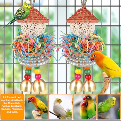 image for BBjinronjy 2PCS Bird Toys Parrot Foraging Shredder Hanging Toys Sola B