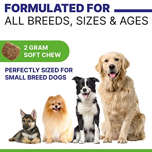 Pawsential Advanced Hemp Calming Treats for Dogs - Anxiety Relief Calming Chews - Separation Aid - Stress Relief During Fireworks, Storms, Thunder - Aggressive Behavior, Barking - Made in USA - 240Ct - Thumbnail 6
