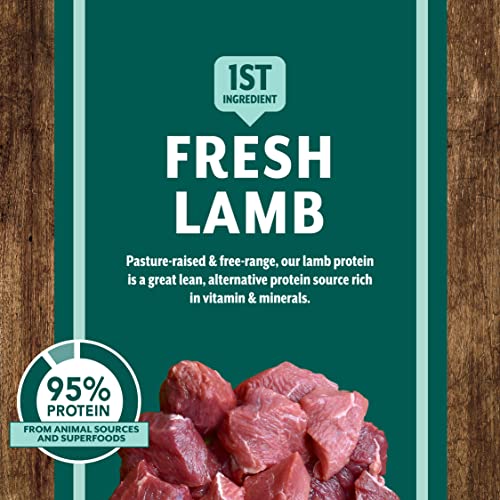 Earthborn Holistic Venture Roasted Lamb & Butternut Squash Limited Ingredient Dry Dog Food, 25 Pound (Pack of 1),