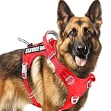 BARKBAY Service Dog Vest Tactical Dog Harness Medium Large Sized Dog Tags Personalized No Pull Adjustable Harness Reflective K9 Working Training Easy Control Military Molle System(Red,L