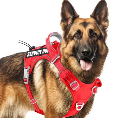 BARKBAY Service Dog Vest Tactical Dog Harness Medium Large Sized Dog Tags Personalized No Pull Adjustable Harness Reflective K9 Working Training Easy Control Military Molle System(Red,L