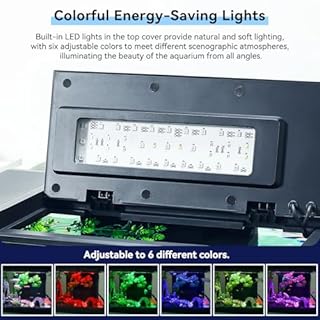 Fish Tank Kit with Real-Time Temperature Display, Adjustable Water Pump, Storage Space, Flexible Filtration System & 6 Lighting Modes - Excellent Aquarium Starter Kit for Betta Fish