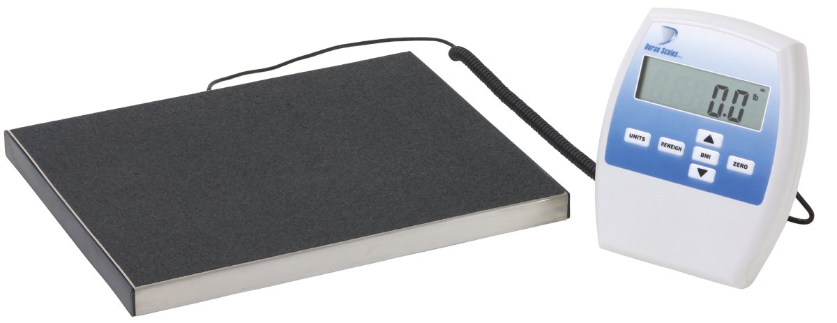 Remote Indicator Scale - DS6150