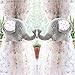 GREENEARTH Drapery curtains Clip Bind for curtain drapes/panels curtain buckle curtain decoration Kids Art Craft Display- cute cartoon elephent gift ideal 2pcs(silver)