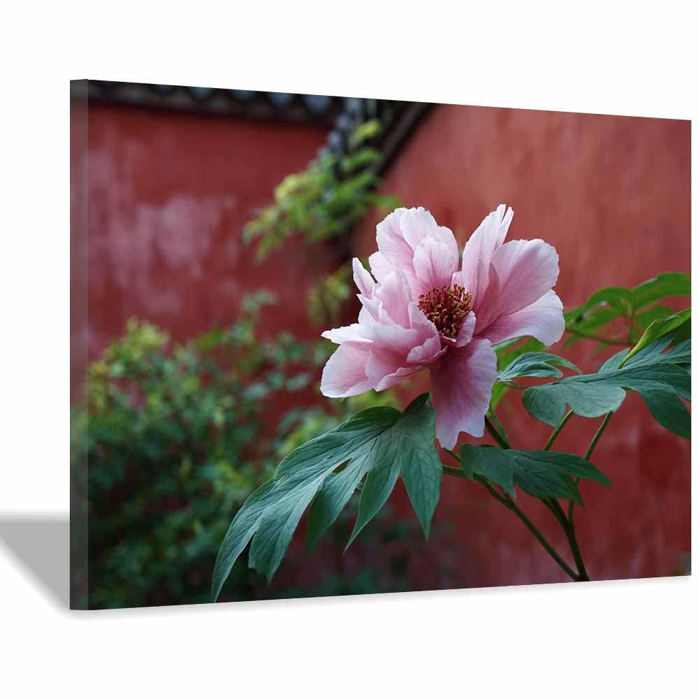 ZAMAEIU Canvas Print Wall Art Pink Peonies Modern Nature Landscape Poster, for living room, bedroom,Corridor Office Room Decoretc.(pink)-30x50cm Framed