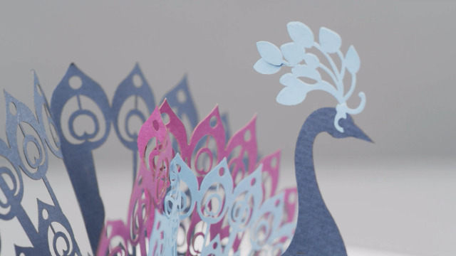 Biglietto pop-up 3D Pavone - Piume di pavone Elegante biglietto di