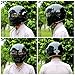 Motorcycle Full Face Helmet Motorbike Moped Crash Helmet Lightweight 2.86lb for Adult Men Youth D.O.T Certified (Bright Black,Medium)