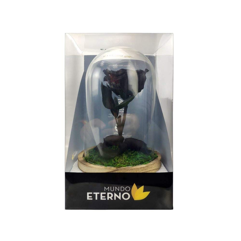 Mundo Eterno| Rosa Preservada Negra en Cúpula de Cristal | Rosa Eterna Natural | Regalo Original | 22x12 cm