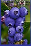 Blueberries in Your Backyard: How to Grow America's Hottest Antioxidant Fruit for Food, Health, and Extra Money