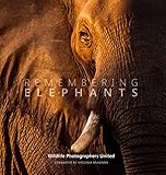 Remembering Elephants