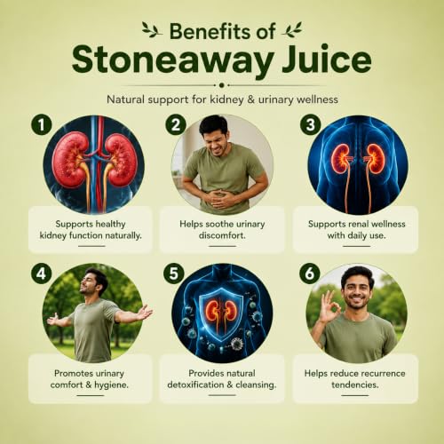 Image of Ayumcure Stoneaway Juice 1L | Ayurvedic Blend with Pashan Bhed, Gokshura, Punarnava & 11+ Herbs | Supports Kidney Stone Removal, Relieves Urinary Irritation & UTI | 100% Natural