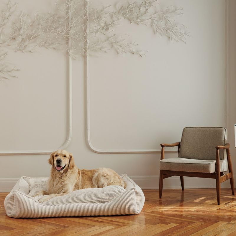 Modern Living Hundebett Helena | Komfortables Hundebett für kleine bis große Hunde | stilvolles Breitcord-Design | mit Memory Schaum gefüllt, Abnehmbarer Bezug (Beige, 65x60x18cm)