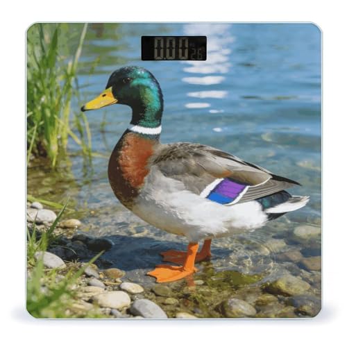 Báscula digital Mallard Duck para cuerpo, 180 kg capacidad miniatura 1