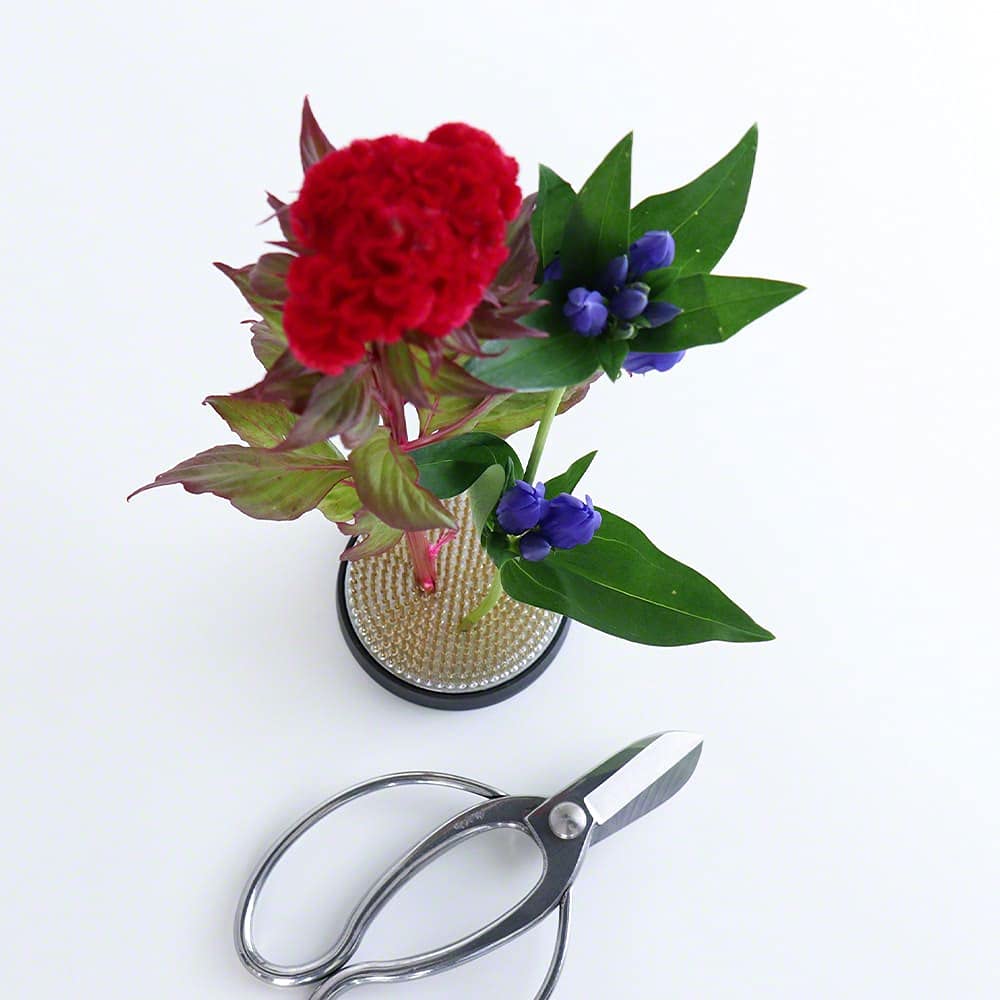 Wazakura 80 mm okrągły mosiężny Ikebana Kenzan kwiat przypinka żaba wyprodukowana w Japonii, japoński kwiatowy układ narzędzie kwiat uchwyt do wazonu i pojemnika - mosiądz, φ80 mm